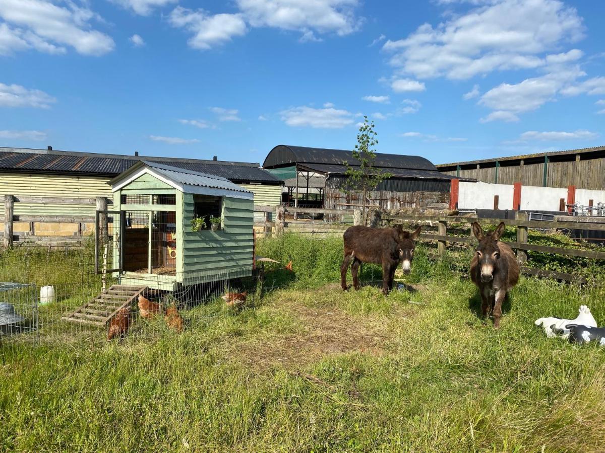 Rew Farm Country & Equestrian Accommodation - Sunrise Lodge 멜크샘 외부 사진