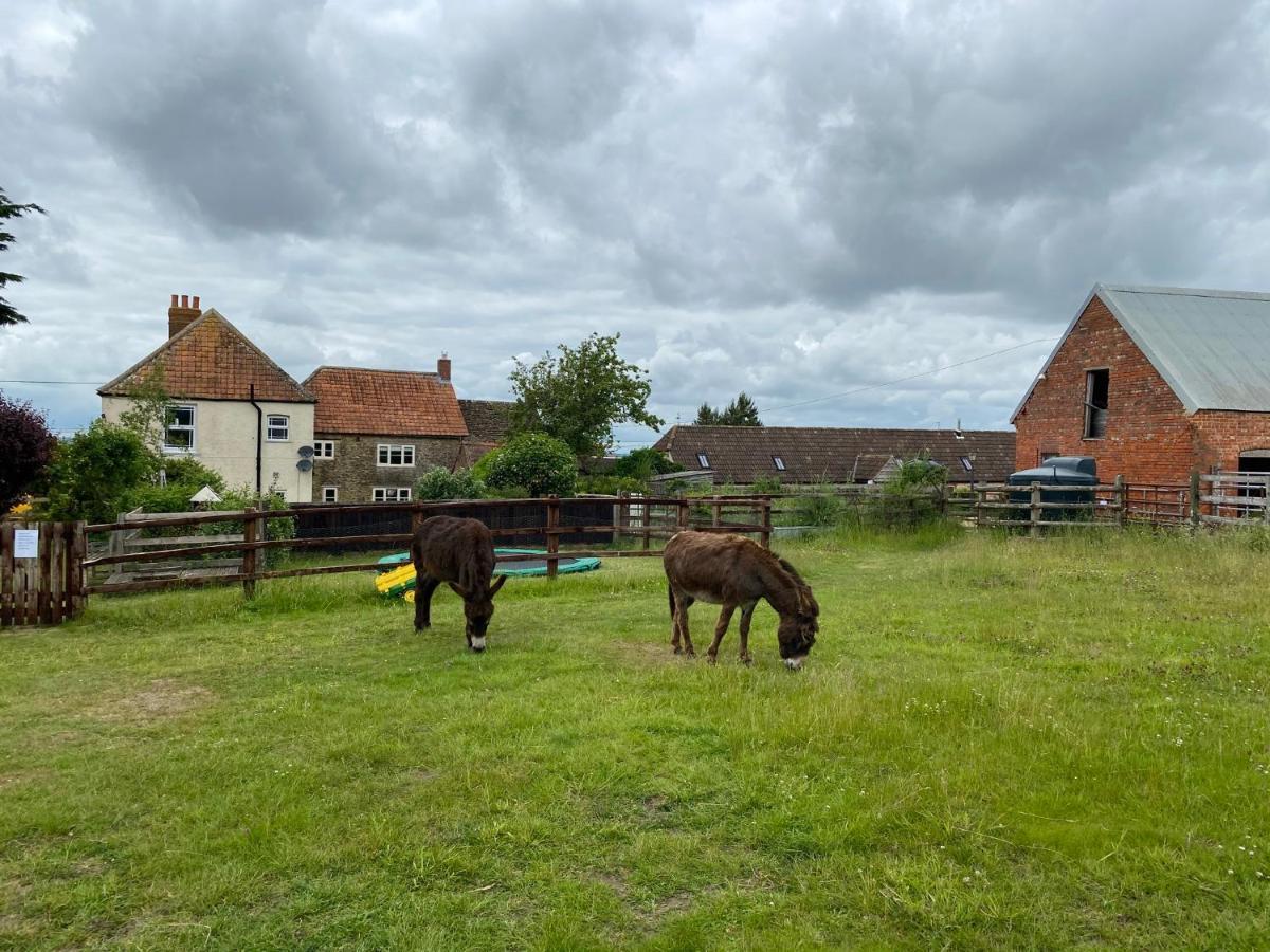 Rew Farm Country & Equestrian Accommodation - Sunrise Lodge 멜크샘 외부 사진